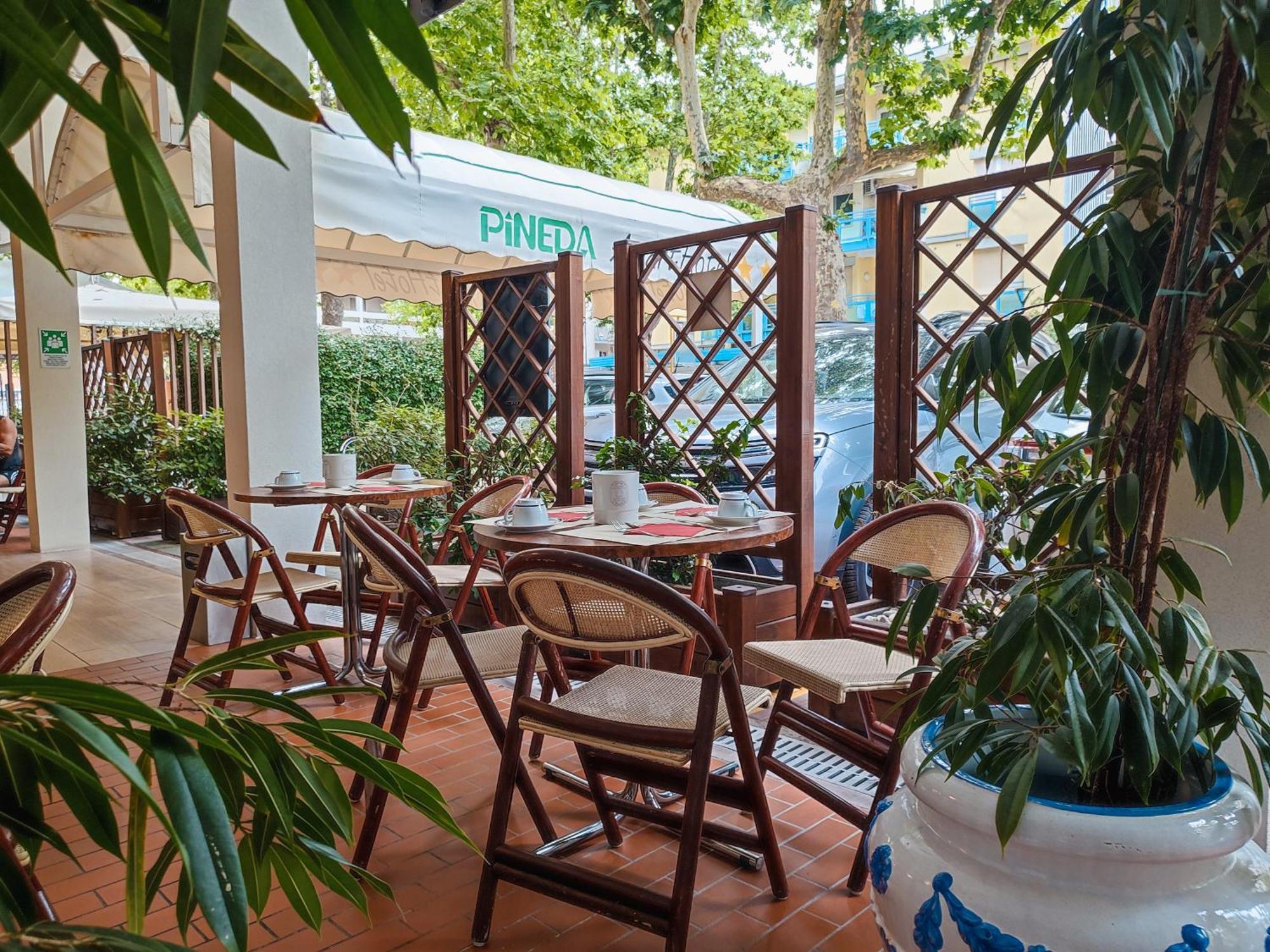 Hotel Pineda 2*